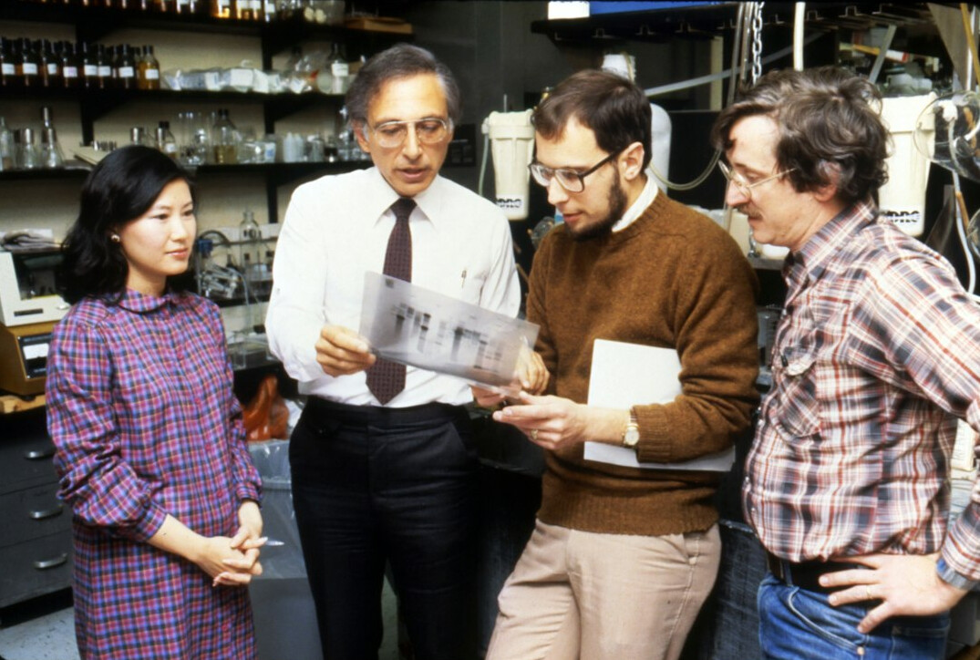 hidden investigation team